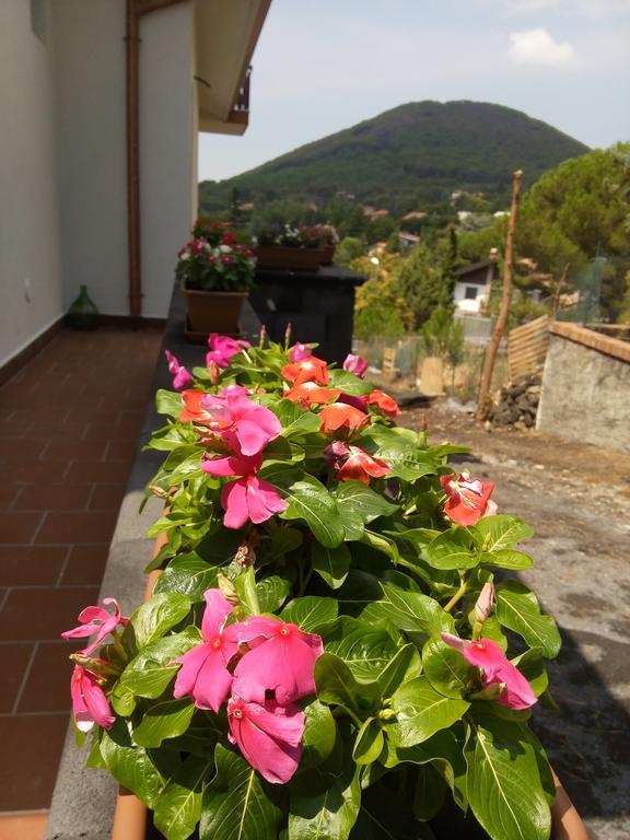 Il Giardino Di Leoca Bed and Breakfast Nicolosi Eksteriør billede
